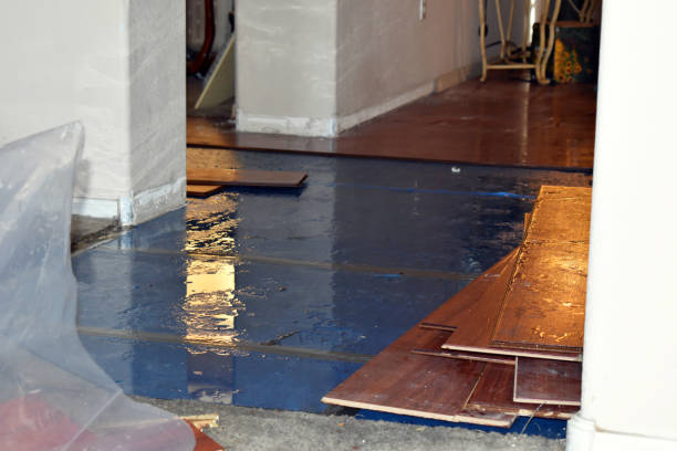 Professional Sewage Cleanup technician working in Metamora, MI